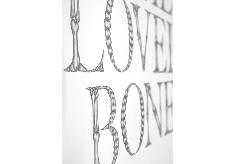 Art, detail of graphite drawing of bones spelling The Lovely Bones