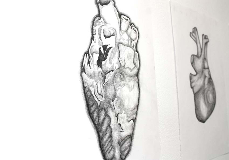 Art, detail of graphite drawings of human hearts by Maya Walker